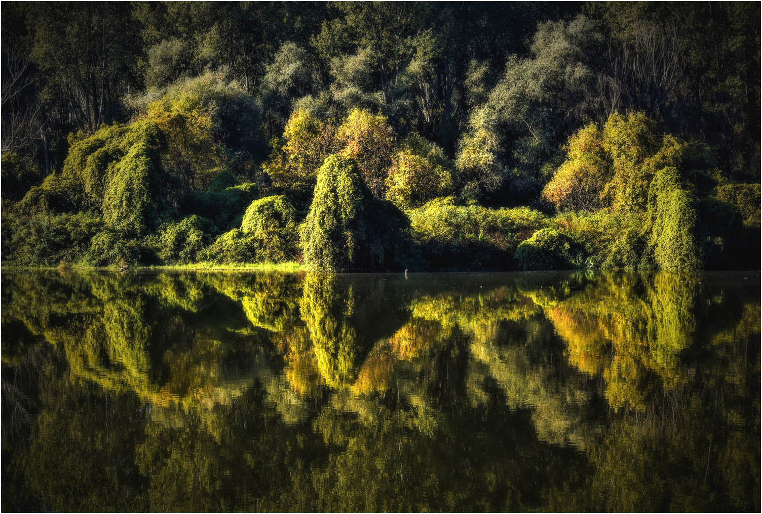 Milica Plavsic - Refleksija Jeseni